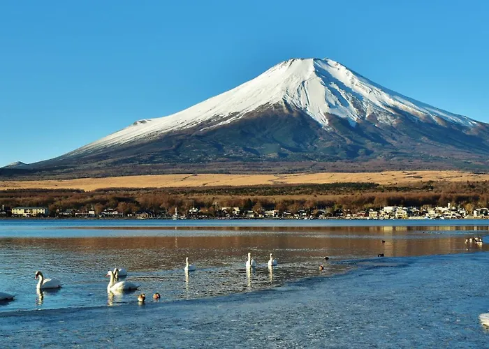 Toyoko Inn Shin-Fuji-Eki Minami-Guchi